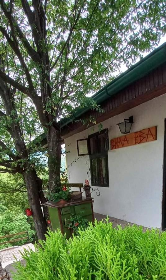 Vila Eva Meduvrsje Exterior foto